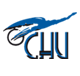 chu-clermont-ferrand